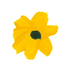 黄色涂鸦花卉卡通透明素材