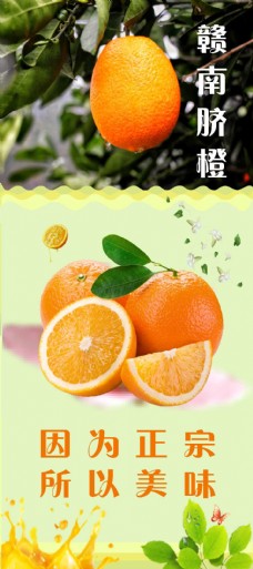 水果农场赣南脐橙宣传展架