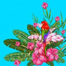 热带花朵和鹦鹉插画