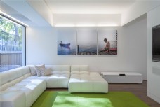 清代现代清新客厅绿色地毯室内装修效果图