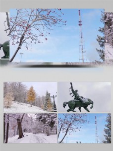 公园下雪美丽风景素材