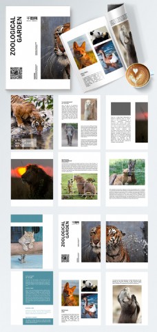 野生动物园时尚高端宣传册画册