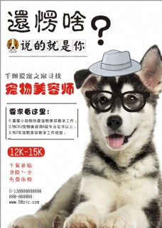 宠物狗还愣啥宠物店招聘海报