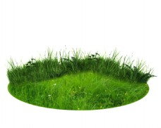 抠图专用圆形草坪透明素材