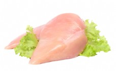 新鲜蔬菜新鲜鸡肉食物素材蔬菜生菜动物