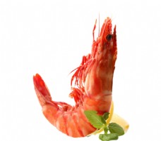 动物海鲜食物小龙虾皮皮虾餐饮蔬菜煎烤油炸