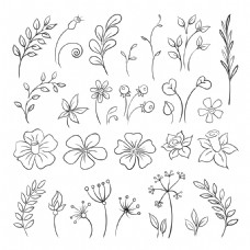 花叶黑白手绘清新花朵植物图案