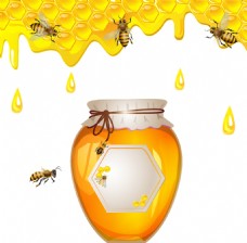 抠图专用蜂蜜透明素材