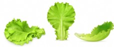 蔬菜绿色生菜叶子png元素