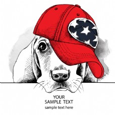 宠物狗趣味卡通戴帽子的小狗插画