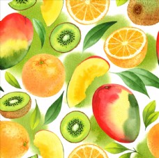 水彩绘热带水果插画