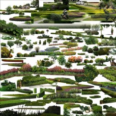 绿化景观植物分层效果图表现