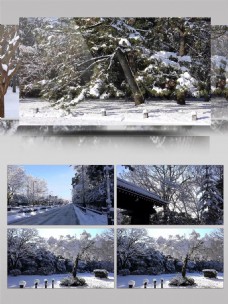 4K视频下雪雪景视频素材