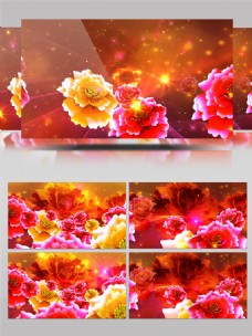 多彩牡丹元旦春节LED大屏幕