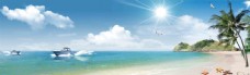 海边沙滩白云椰子海星