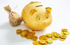 金融钱币金融储蓄金猪存钱罐和一袋金币
