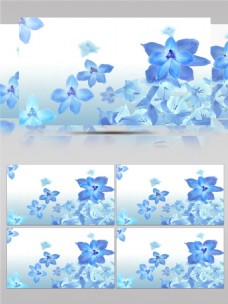 蓝色铅笔画花朵高清视频素材