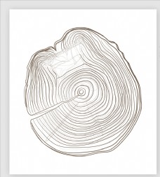 年轮手绘矢量图