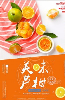 创意小清新芦柑海报设计