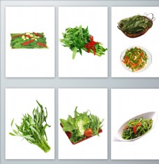 绿色蔬菜真实的空心菜免抠元素