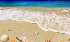 度假沙滩贝壳海星